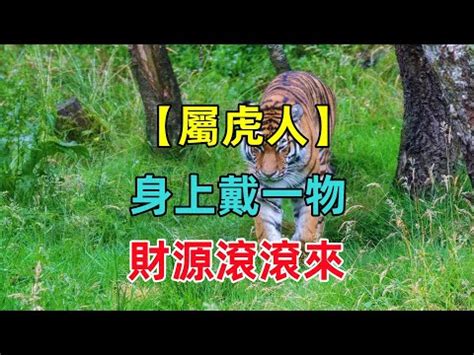 屬虎招財|【屬虎戴什麼】屬虎戴什麼？揭秘最旺屬虎者的玉石、。